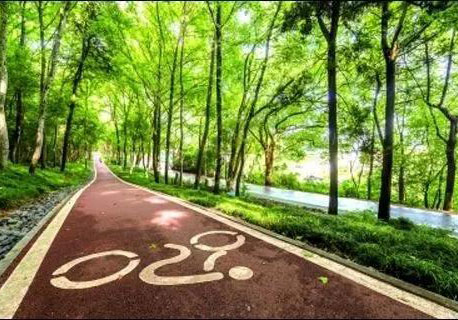 海綿城市透水道路有什么好處？