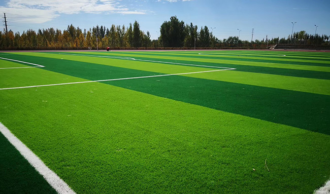 沈陽人造草坪的常見問題，如何選擇草高和密度？