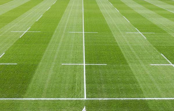 人造草坪 人造草坪